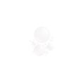 02FacialSpray-WakeYourFaceUp-Swatch-Web.jpg