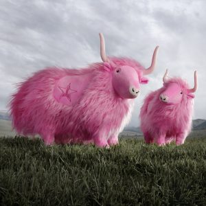 03StarRanch-Web.jpg
