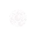 05GlowFaceMist-Swatch-Web.jpg