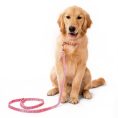 leashes.jpg