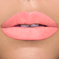 orangeprick_52c18e84-4883-4d27-8b98-56af7ec53b91.png